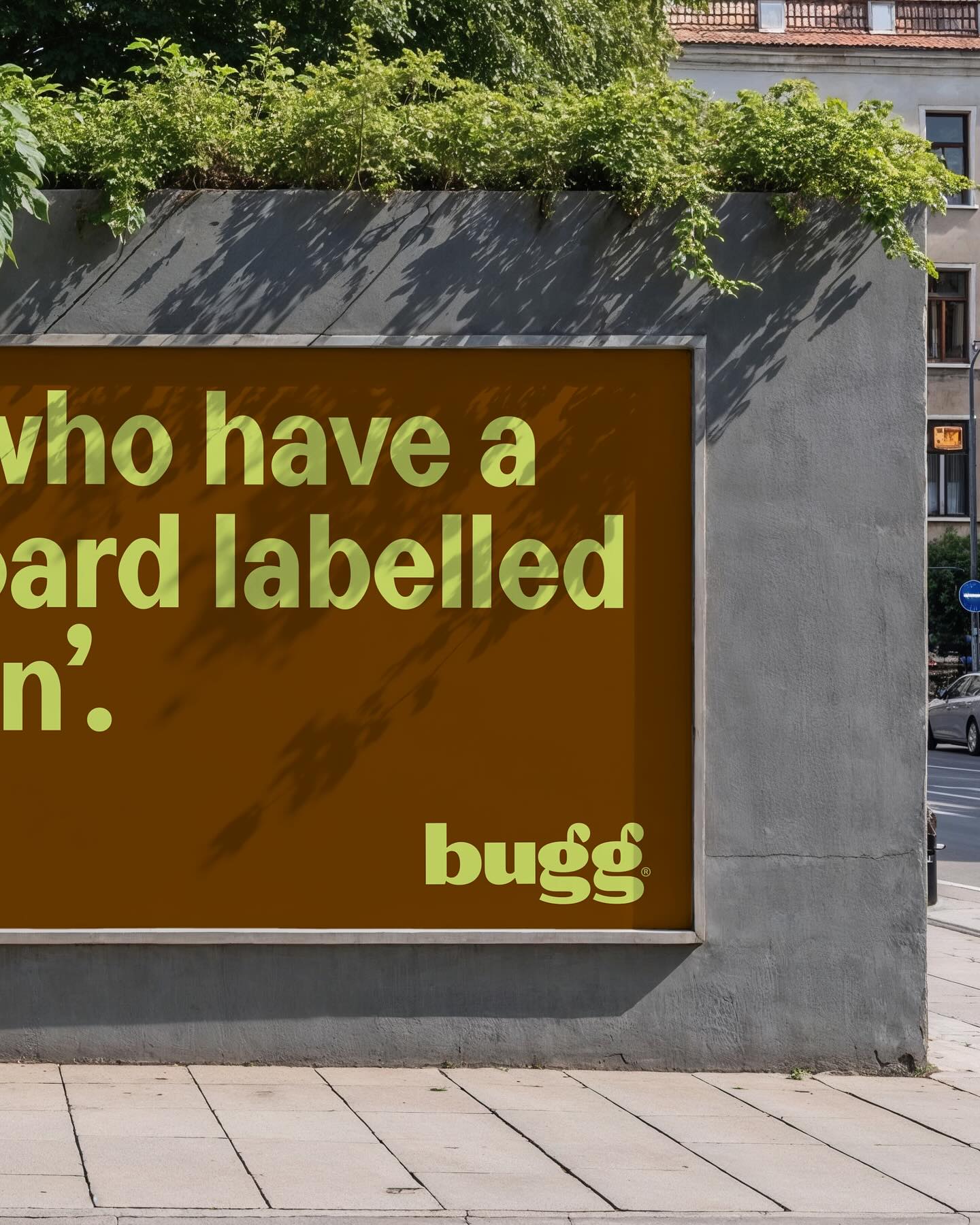 Bugg full project presentation