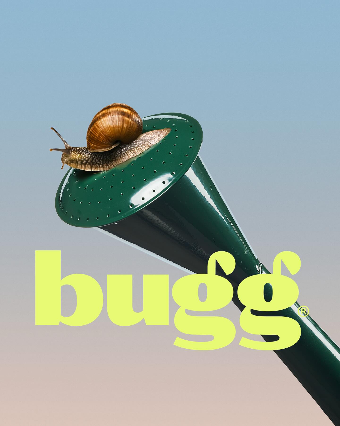 Bugg brand project — visual 1