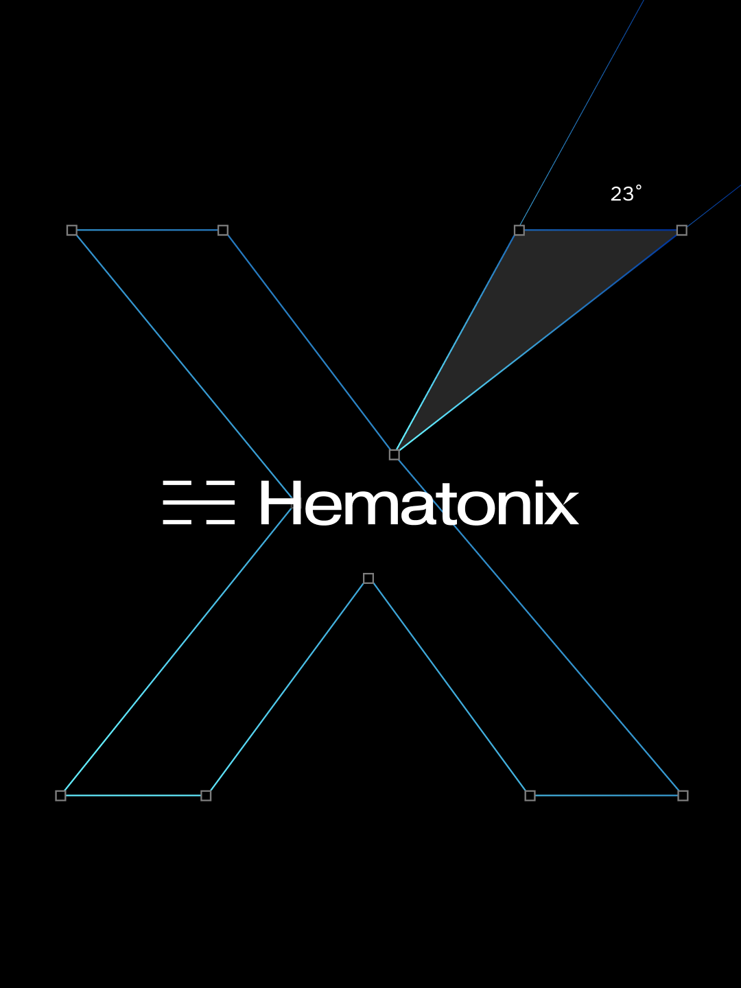 Hematonix additional visual 4