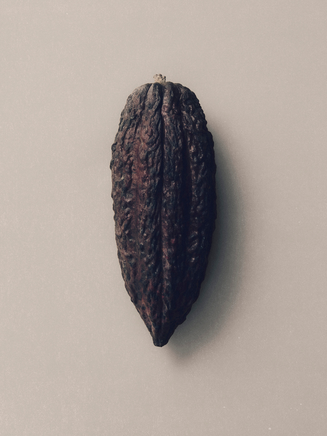 Manta Chocolate additional visual 15