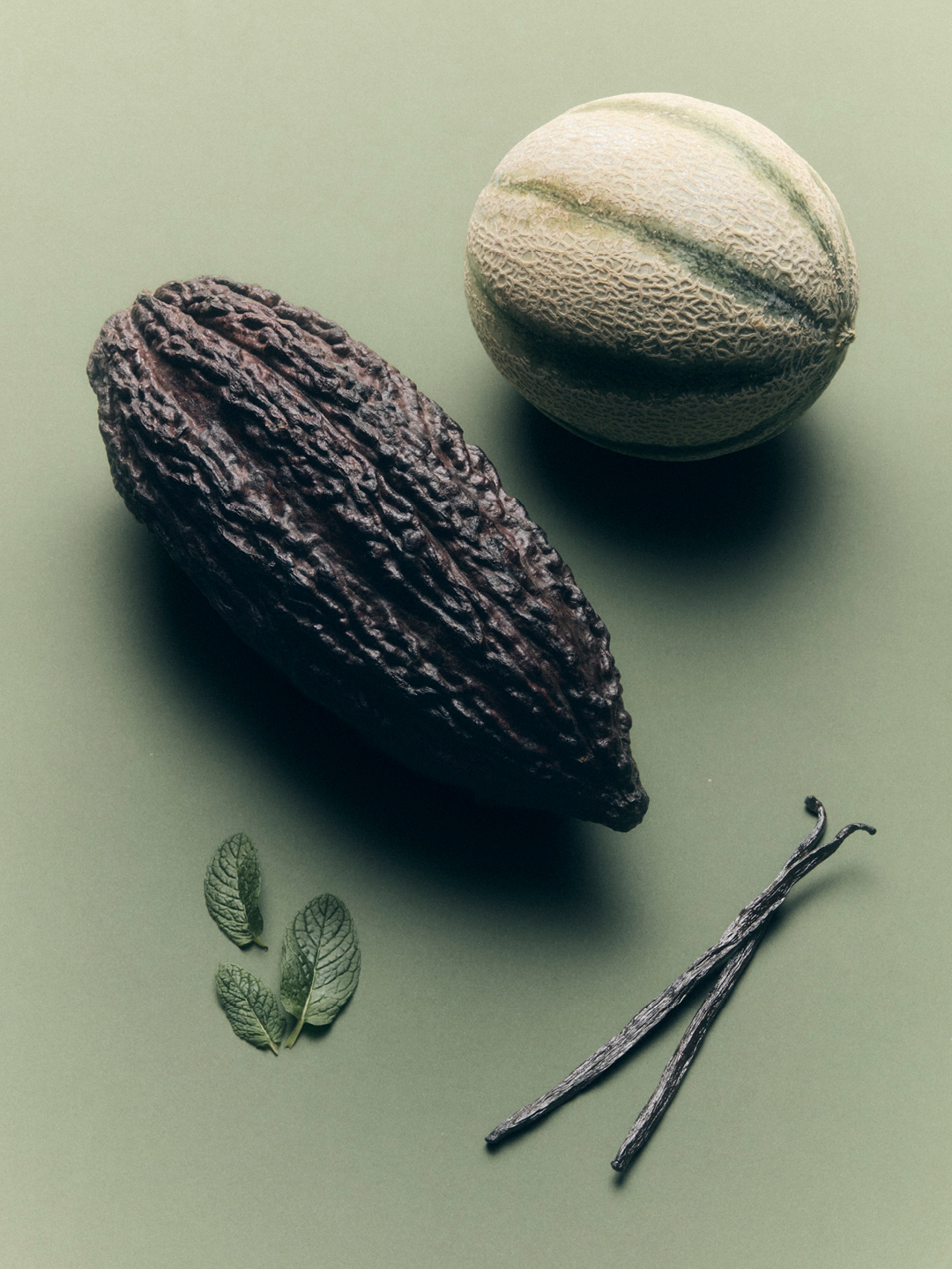 Manta Chocolate additional visual 13