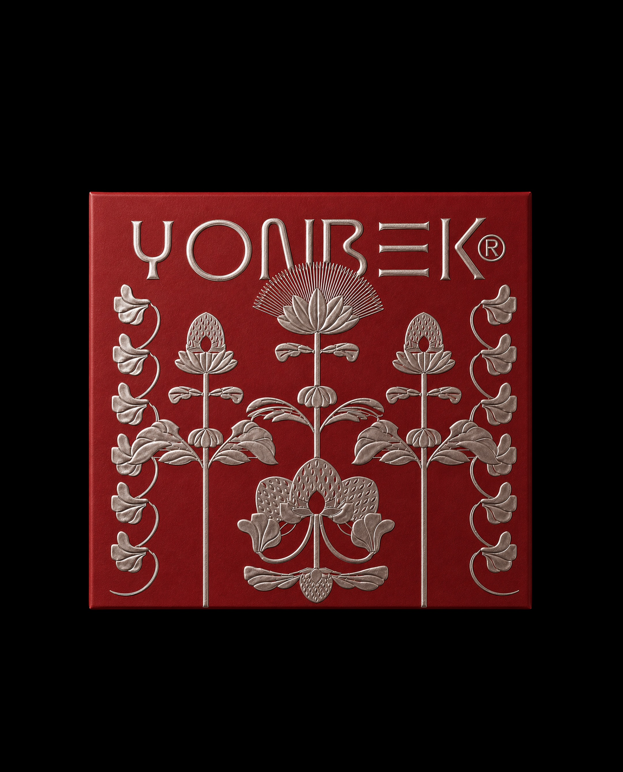 Yonbek brand project — visual 1