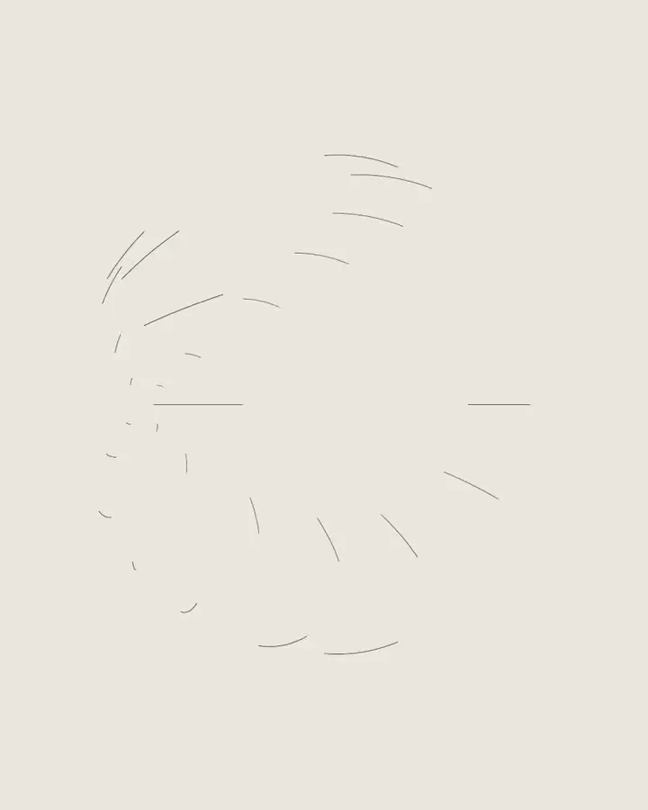 Arena Physica brand project — visual 1
