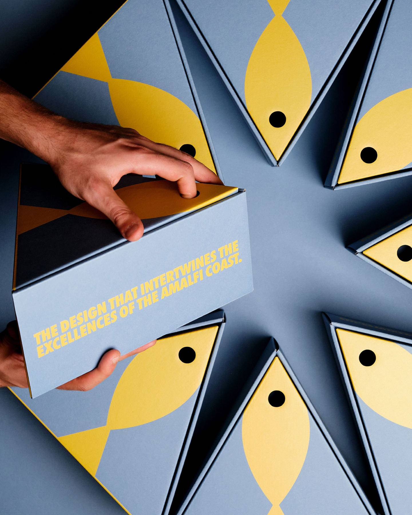 Casamica full project presentation