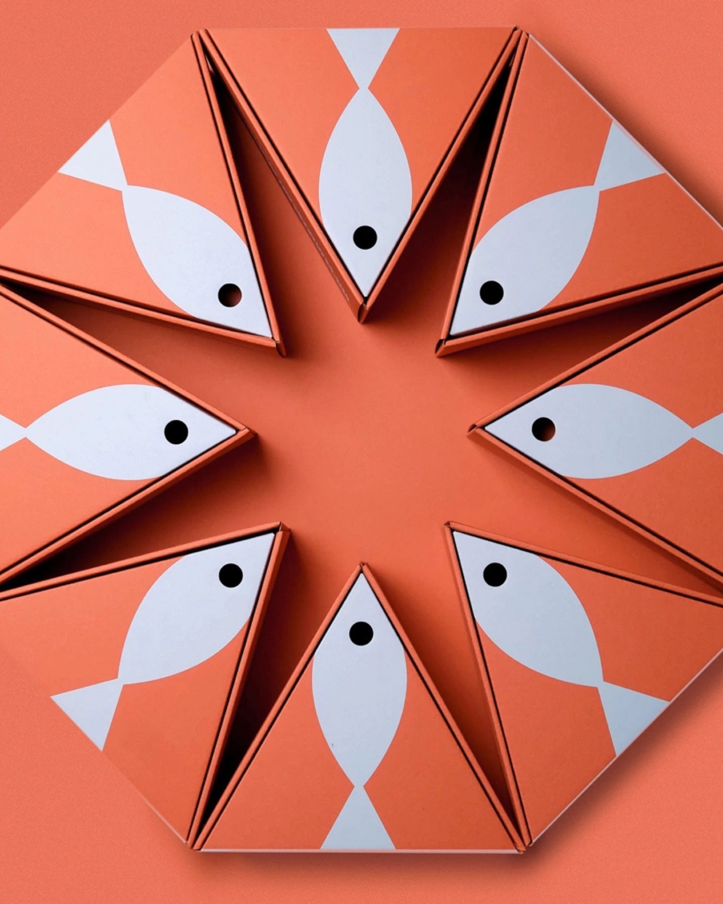 Casamica brand project — visual 1