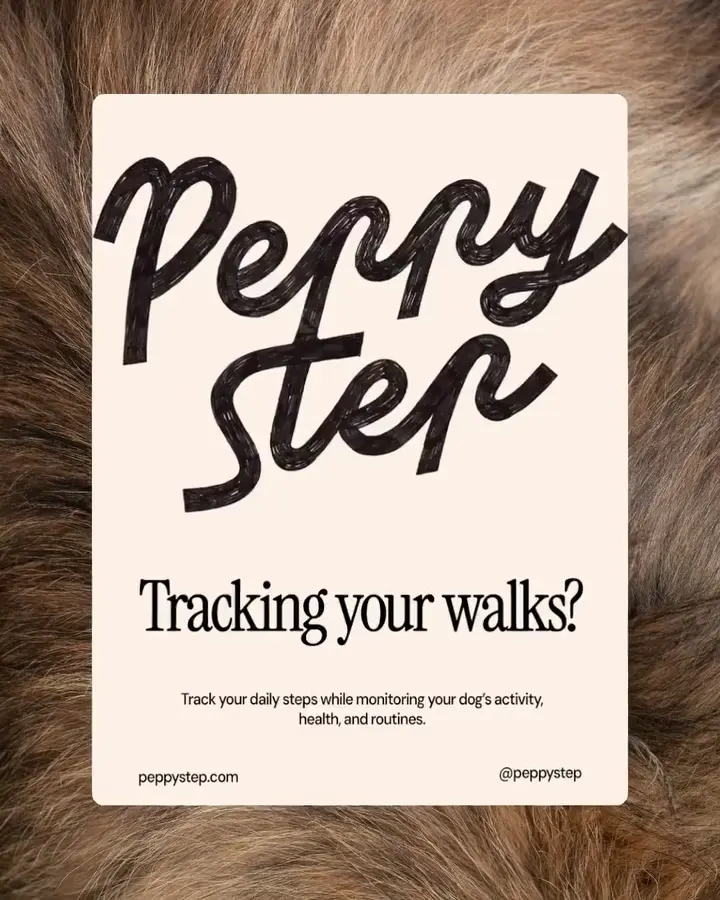 Peppy Step additional visual 6
