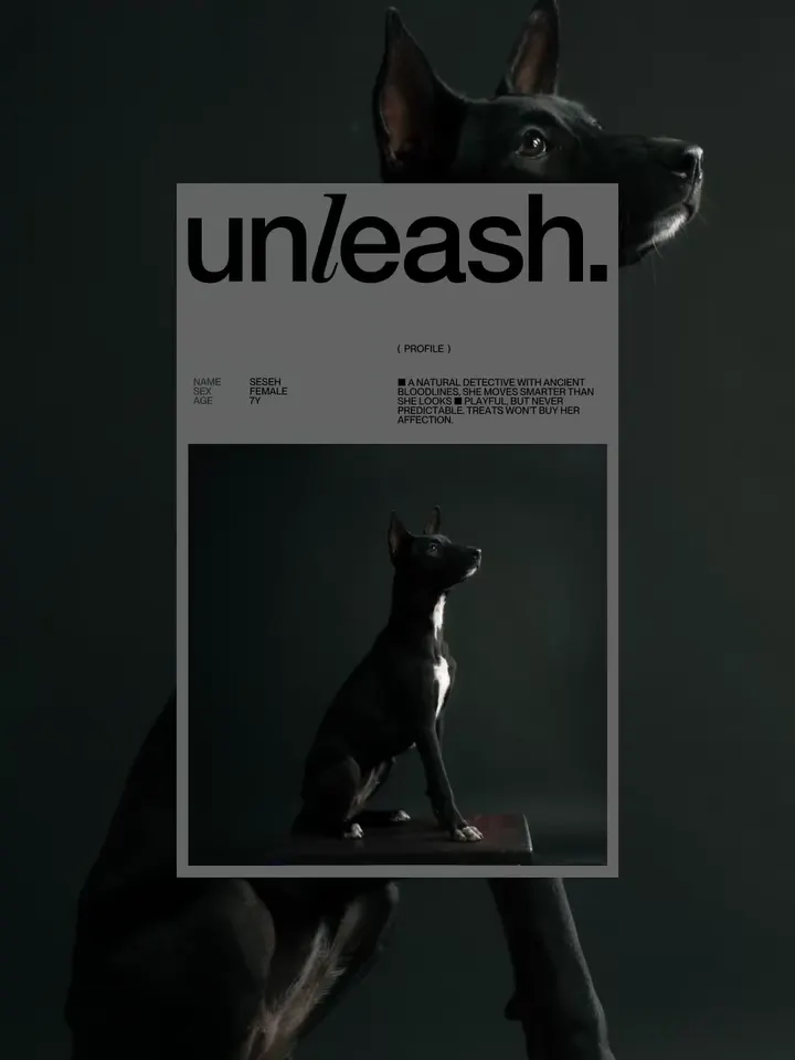 Unleash brand project — visual 1