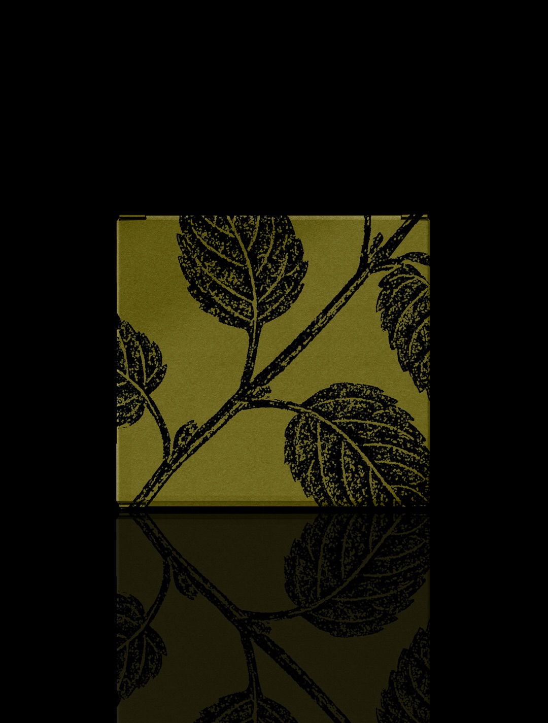 Maison Myrthus additional visual 6