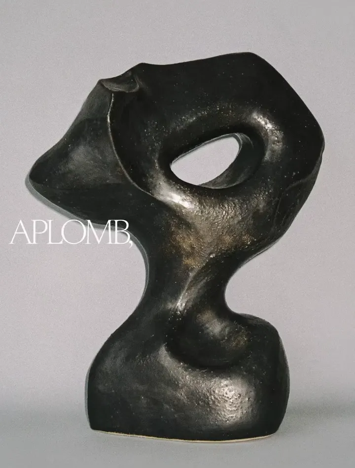 Aplomb additional visual 5